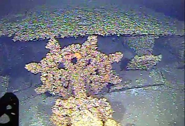 2003 Unidentified Wreck (3)